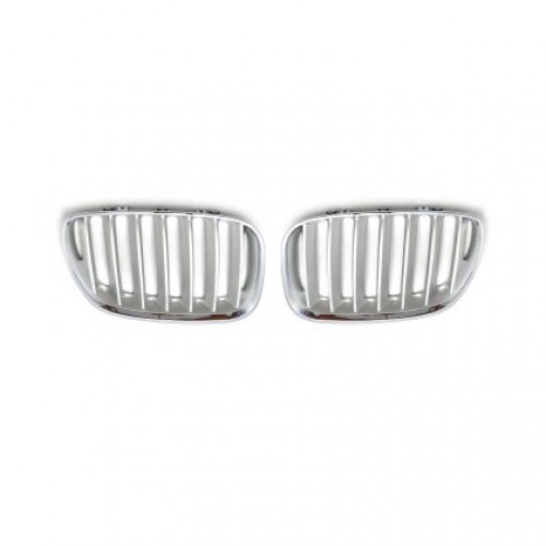 Решетки за BMW X5 E53 (2004-2007) - силвър