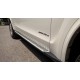 Степенки за BMW X6 F16 (2015+)